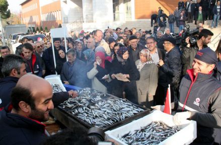 1 Ton Balık Yarım Saatte Tükendi!