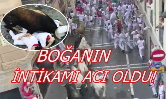 Boğanın İntikamı Acı Oldu!