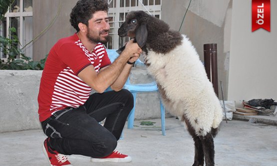 KENDİNİ KÖPEK SANIYOR!