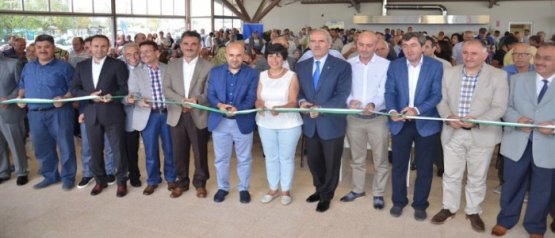 Bursa Yüzünü Denize Döndü!