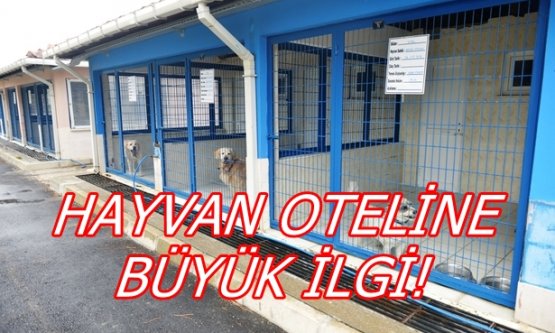 Hayvan Oteline Büyük İlgi!