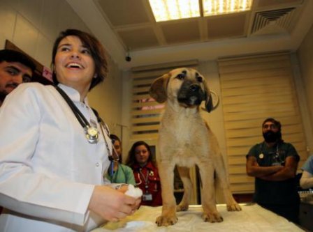 İTFAİYE EKİBİ KUYU KÖPEK OPERASYONUNU ANLATTI!