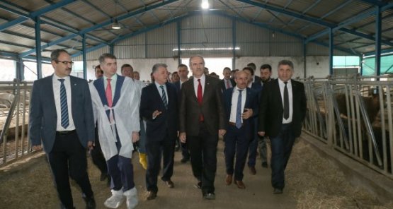 Dağ bölgesine ´can suyu gibi´ yatırım