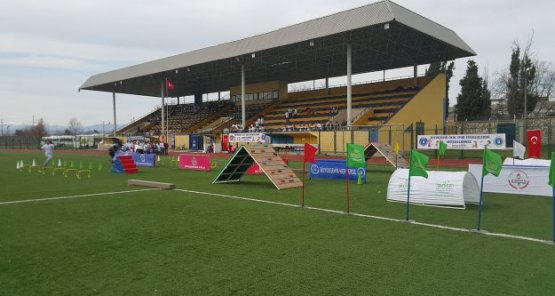 Yenişehir'de Spor Coşkusu!