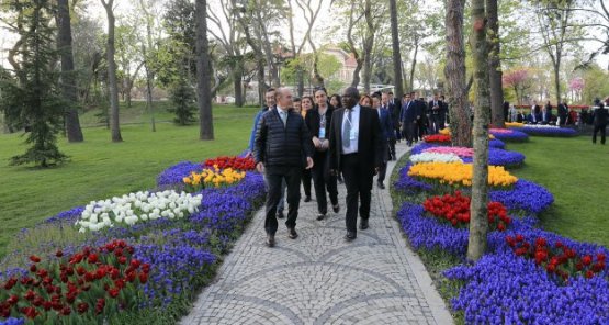 İstanbul'a ve Lalelere Hayran Kaldılar!