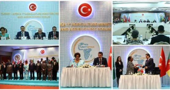 Türkiye-Afrika Tarımsal İşbirliği Platformu Oluşturulacak!