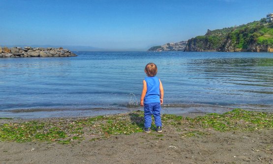 Deniz Suyu Kirlilikten Arınıyor!