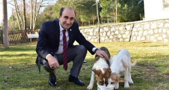 Yıldırım'da Sokak Hayvanlarına Bir Kap Mutluluk!