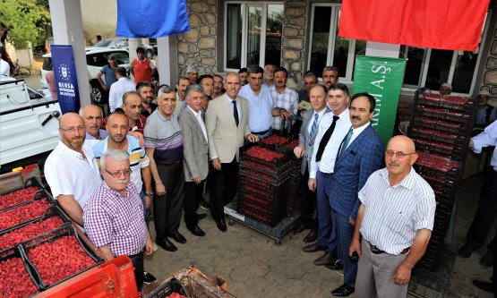 Ahududu Destekleme Alımı Başladı!