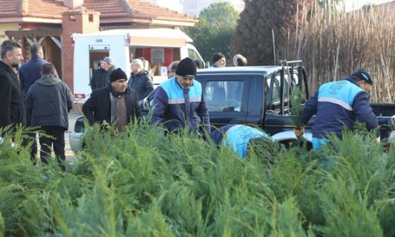 Ücretsiz fidana vatandaştan büyük ilgi