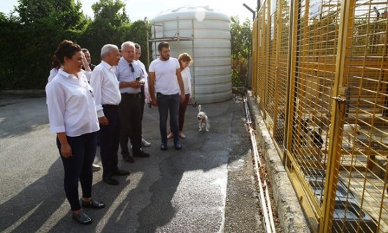 Vali Yardımcısı Ünsal Hayvan Bakım Merkezi'ni denetledi
