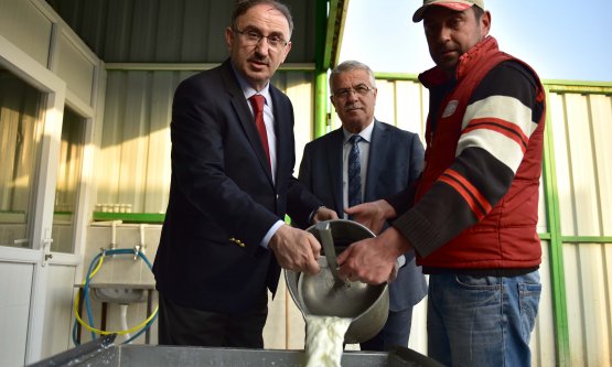 Süt üreticilerine 450 bin TL'lik destek