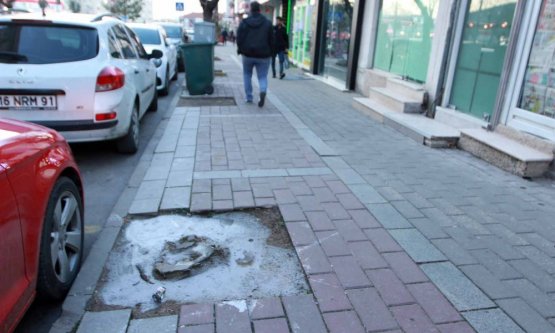 Gazcılar caddesinde ağaca bile tahammül yok