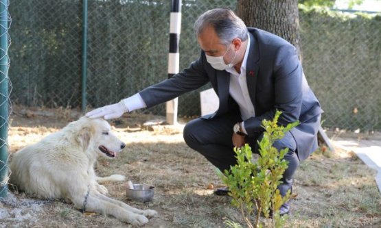 Can dostlarına modern rehabilitasyon merkezi