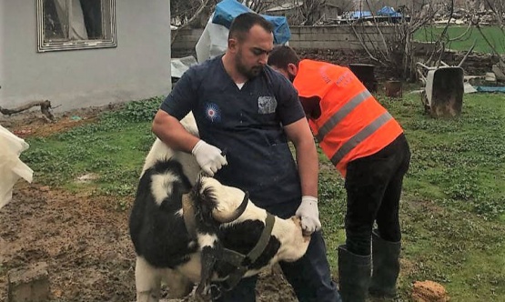 Antalya'dan Gaziantep'te Veterinerlik Hizmeti