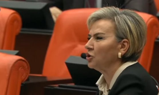 CHP İstanbul Mv. Nimet Özdemir Hayvanların Korunmasına Dair Uygulama Yönetmeliği ile ilgili sert eleştirilerde bulundu