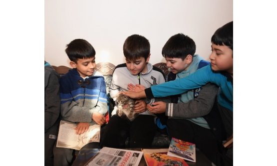 Hem Kitap Okuyor Hem De Kedileri Seviyorlar