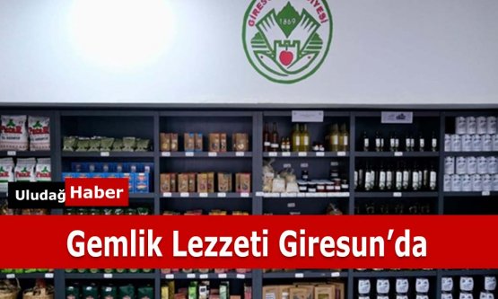 Gemlik'in Zeytinyağları artık Giresun'da