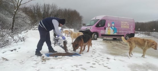 İstanbul'da kar kalınlığı 40 cm'e ulaştı