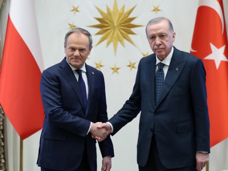 Cumhurbaşkanı Erdoğan, Polonya Başbakanı Tusk ile görüştü