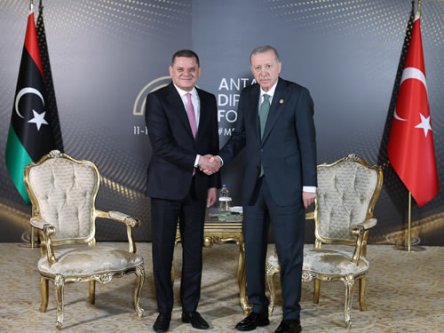 Cumhurbaşkanı Erdoğan, Libya Başbakanı Dibeybe ile bir araya geldi