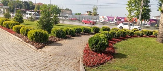 Bursa Çiçek Açıyor: Büyükşehir Belediyesi'nden Kente Yeşil Dokunuş!