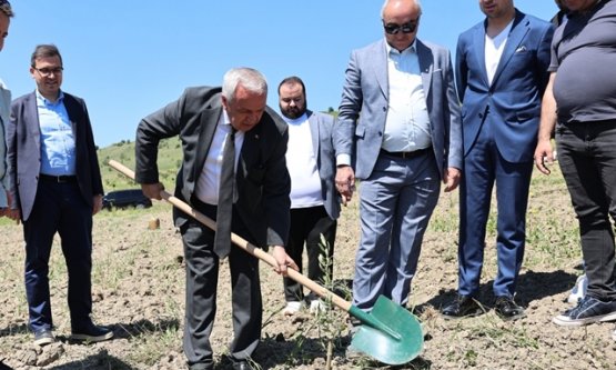 Nilüfer Belediyesi'nden Tarıma Destek: Konaklı'da 800 Zeytin Fidanı Toprakla Buluştu
