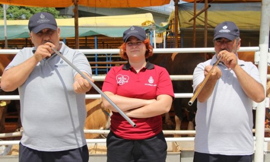 Kurban Bayramı İçin İBB'den 'Boğa Yakalama Timleri': Kaçan Kurbanlıklar Güvenle Teslim Edilecek!