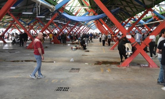 Osmangazi Belediyesi'nden Kurban Bayramı'nda Hijyenik Kesim Alanları: 23 Noktada Sorunsuz İbadet