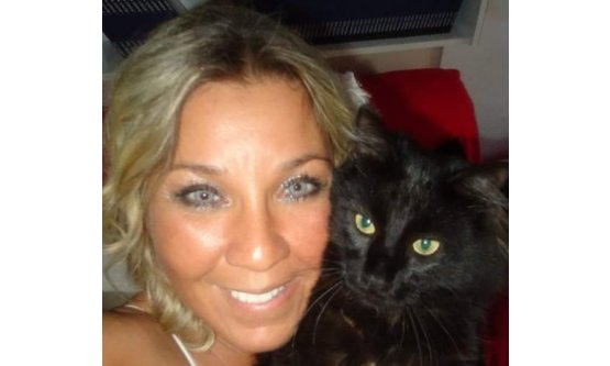 Yazar Ülkü Gözen Stewart'ın 'Esmer Kedi Cafer' Kitabı Dünya Çapında Ses Getiriyor: Altın Melek Ödülü ve Müzede Patiği!