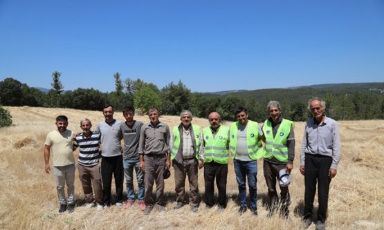 Bursa'da Tarihi Hasat: Siyez Buğdayı Üreticilerine Büyükşehir'den Tam Destek!