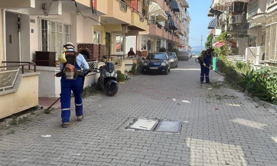 Gemlik Belediyesi'nden Kumla'da Kapsamlı Temizlik Seferberliği: Tatil Bölgesi Parlıyor!