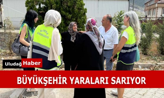 Bursa Büyükşehir Belediyesi'nden Yangın Bölgesinde Tam Kapsamlı Normalleşme Hamlesi