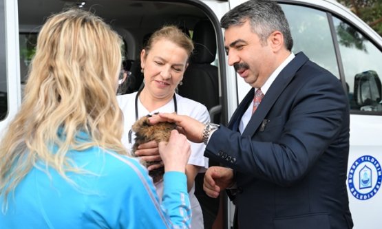 Yıldırım Belediyesi Sokak Hayvanlarını Sahipsiz Bırakmıyor: Tedavi ve Bakım Hizmetleri Arttırıldı