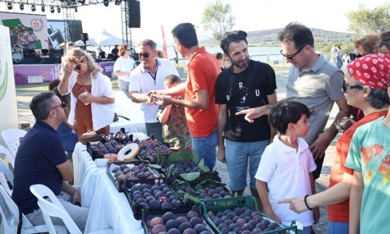 Nilüfer'de 11. İncir Festivali: Bursa'nın Siyah İnciri Lezzet ve Emekle Buluştu