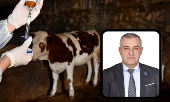 Anahtar Parti'den Mustafakemalpaşa'daki Şap Hastalığına Tepki: 'Çiftçi İhmalkârlığın Kurbanı Edildi”