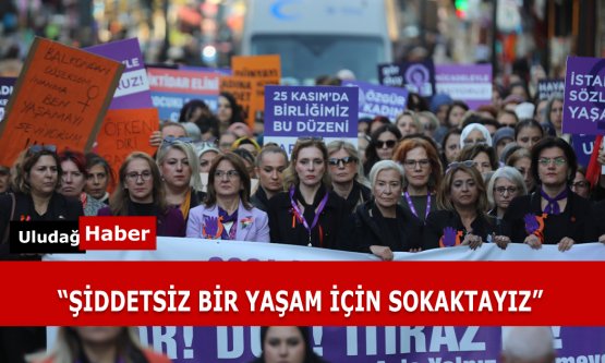 Bursa'da 'Şiddetsiz Yaşam' Çağrısı: 25 Kasım Farkındalık Yürüyüşü