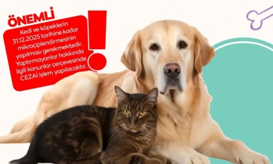 İnegöl Belediyesi'nden Kedi ve Köpek Sahiplerine Mikroçip Çağrısı: 'Kayıtsız Kalma, Kayıt Al'