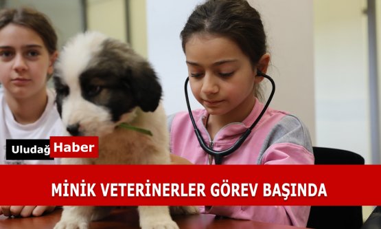 Bursa Büyükşehir Belediyesi'nden Çocuklara Hayvan Sevgisi Eğitimi: 'Bir Günlüğüne Veteriner Hekim Oluyorum'