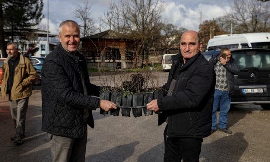 Bursa Büyükşehir'den Çiftçiye Dev Destek: %50 Hibeli Fide ve Fidan Seferberliği!