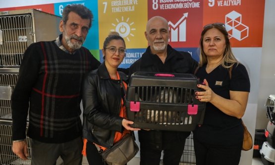 Bursa'da Can Dostlara Sıcak Yuva: 17 Şubat Dünya Kediler Günü'ne Özel Anlamlı Etkinlik!