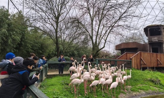 Bursa'da Minik Kaşifler İş Başında: Çocuklar Doğaya Bilimsel Bir Mercekle Bakıyor