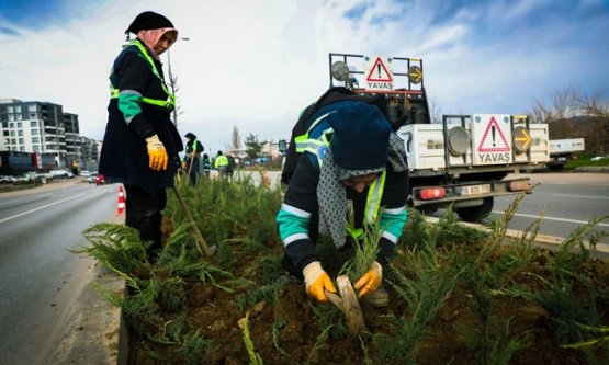 Bursa'nın Bulvarları Çiçek Açıyor: Büyükşehir'den Kente Estetik Dokunuş!