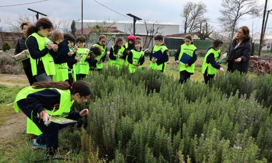 Geleceğin Çiftçileri Ürünlü'de Yetişiyor: 'Bostan Kaşifleri' Toprakla Buluştu!