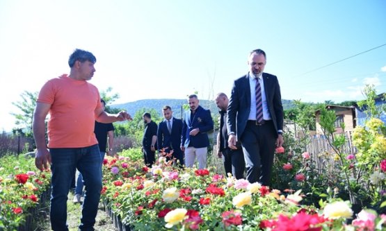 Kestel'den Dünya Pazarına Süs Bitkisi Hamlesi: Başkan Ferhat Erol'dan Üreticiye Tam Destek!