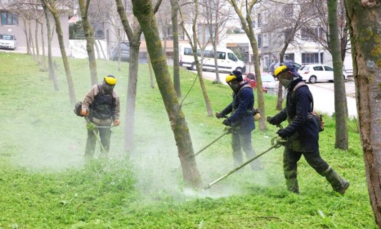 Osmangazi'de Bahar Temizliği: Yabani Ot Mücadelesiyle Parklar Nefes Alıyor!