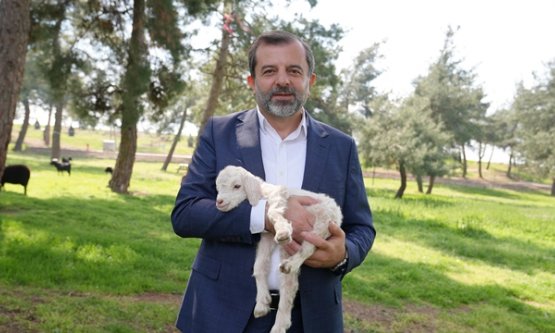 Gürsu'da Doğayla İç İçe Bir Huzur Köyü: Butik Hayvanat Bahçesi Yeni Sakinlerini Ağırlıyor!