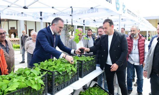 Kestel'de Dev Tarım Hamlesi: Ahududu Üretiminde Dünya Markası Olma Yolunda 6 Bin Fidan Toprakla Buluşuyor