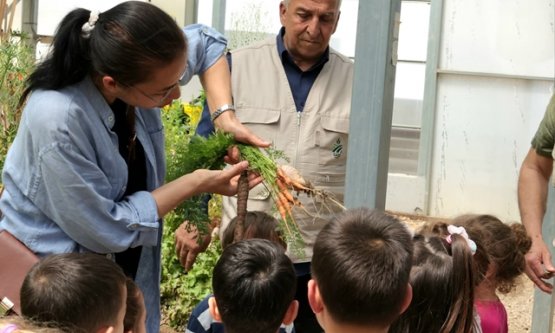 Osmangazi'de Minik Eller Toprakla Buluştu: Çocuklar Üretim Sürecini Serada Öğreniyor!