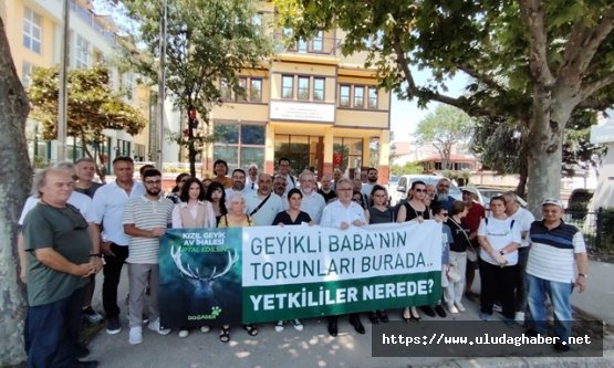 Bursa'da Kızıl Geyik avı ihalesine karşı akademik odalardan ortak tepki